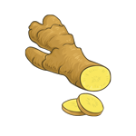Gengibre